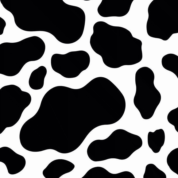 Meet your Posher, Ella - Picture 1 of 1